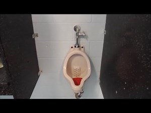 [340] Older state park restroom with a vintage urinal