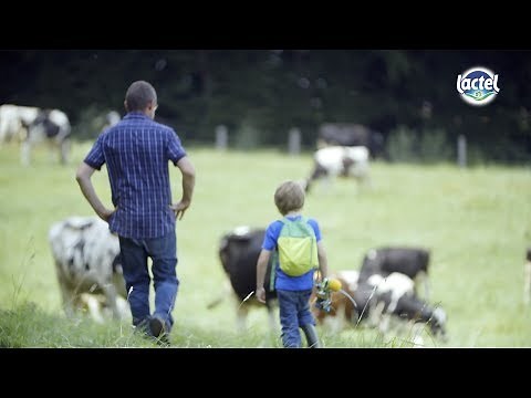 Oui, le lait UHT c’est du bon lait de la ferme - C’est quoi cette bouteille de lait ? - LACTEL