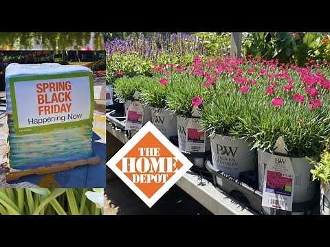April 2023 Home Depot Garden Center Tour/ Lots of Proven Winners!