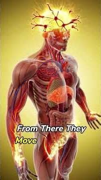 What Happens Inside Your Body When You Eat Fish? 🐟 | The Hidden Health Effects|#food