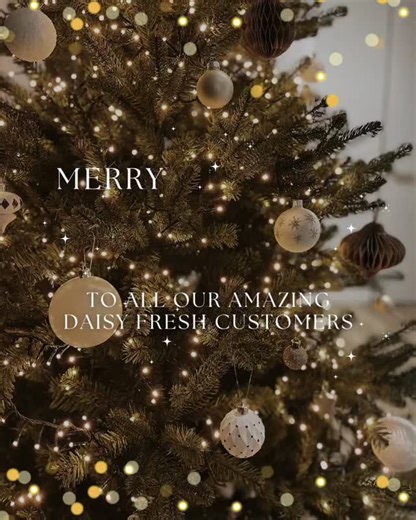 Handmade Refillable Soya Candles & Home Fragrances | Wishing everyone a peaceful and Happy Christmas from my family to yours. Thank you for making this year the most special year for Daisy... | Instagram