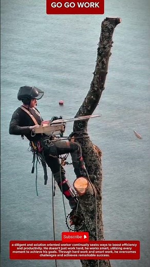 Precision Tree Removal Performed With Ropes And Chainsaw Skills
