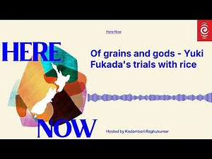 Of grains and gods - Yuki Fukada's trials with rice | Here Now | RNZ