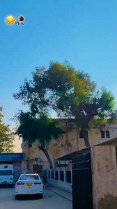 IT Department University of sindh jamshoro | University of Sindh