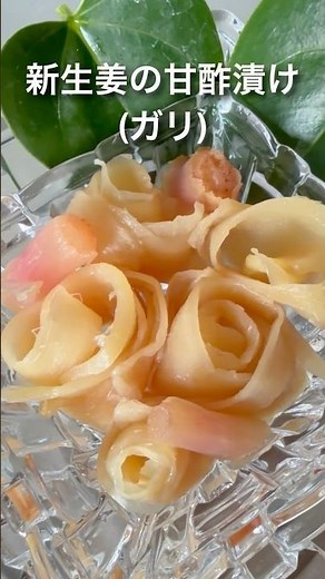 新生姜の甘酢漬け 薔薇の蕾のように🌹