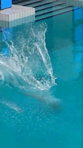 Women's 3M Diving Springboard Beautiful Amazing and the best diving