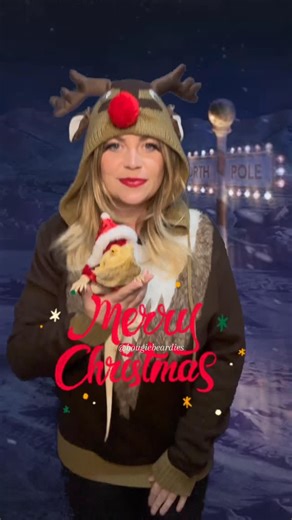 Brittany Blue on Instagram: "It’s Chucky Baby! #beardeddragon #pets #cutepets #Reptiles #happyholidays"