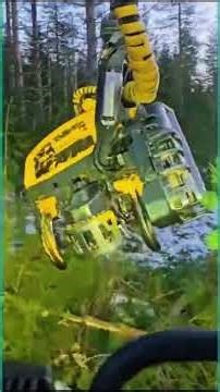 FELLER BUNCHER SMASH ■ Logging in Finland's Wild