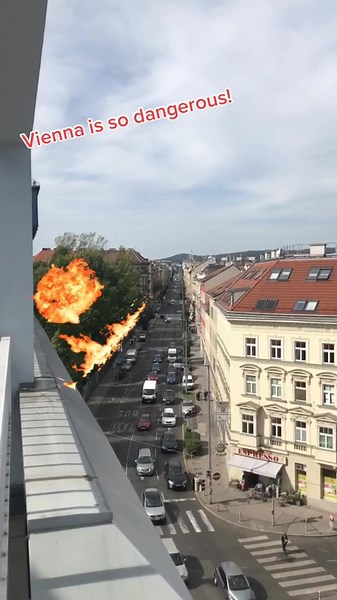Brandgefährlich! #explosivetrees #vienna #austria #trump #trump2020 #dangerous #saveus #fürdich #fy #fyp
