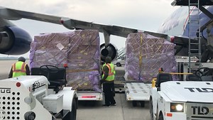 FEMA delivers personal protective equipment to Rickenbacker International Airport