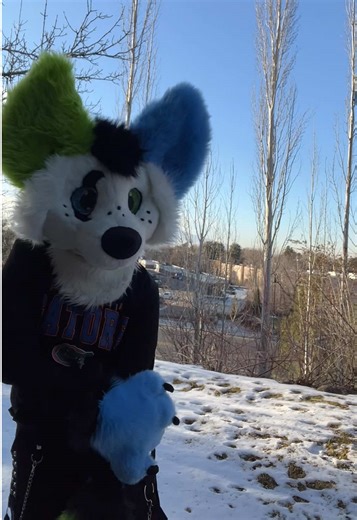 Aura farming but there’s hardly any snow #fursuitfriday #furry #fursuiter #publicfursuiting #furryinpublic