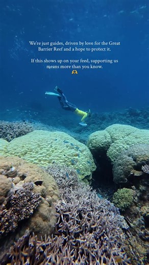 We’re just out here doing our best for the Great Barrier Reef. Featuring Master Reef Guide Le’a with @passionsofparadise 📍 Hastings Reef #greatbarrierreef #lovethereef #masterreefguides | Master Reef Guides