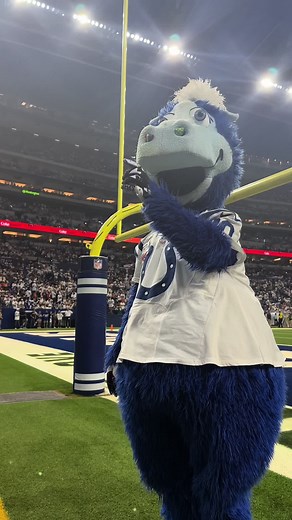 Exploring the Blue Colts Mascot Phenomenon