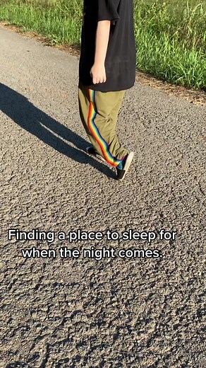 A stray dog decided to tag along. #fyp #fup #foryoupage #runningaway #runningawayfromhome #abuse #transphobicparents #aesthetic #gay #alt #grunge