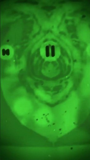 Pingu outro effects round 2 V2