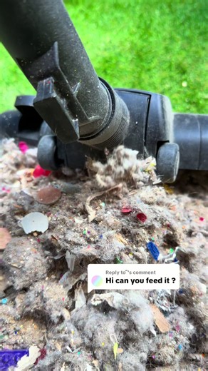 Flathead Vacuum Feeding ASMR: Dirtcore Vacuuming Experience