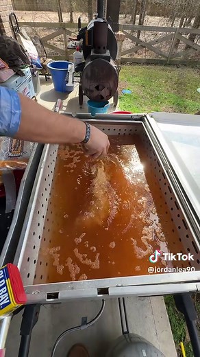 Crawfish Season: The Ultimate Seafood Experience