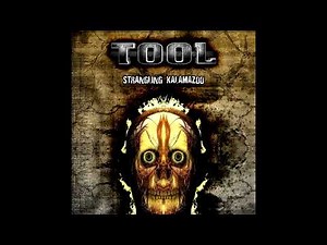 Tool - Stranglehold (Ted Nugent Cover) (Live in Kalamazoo)