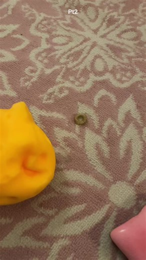 emisfidgets8 (@emisfidgets8)’s videos with original sound - emisfidgets8