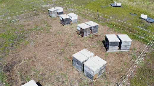 6K views · 63 reactions | Today, Justin and Randi Lowe of Rural Route...