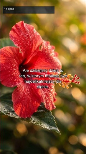 Born on July 14th? Wszystkiego najlepszego! [Polski]