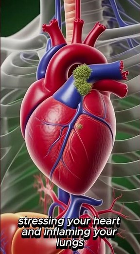 What Marijuana Really Does to Your Body 👀 #healthbenefits #facts