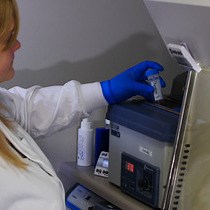 Video: Whole Cell Electrophysiology of Primary Cultured Murine Enterochromaffin Cells