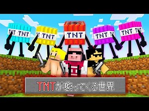【マイクラ鬼畜】TNTが襲ってくる世界でエンドラ討伐！