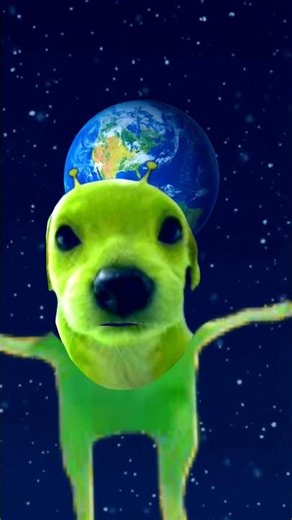 alien dog thing