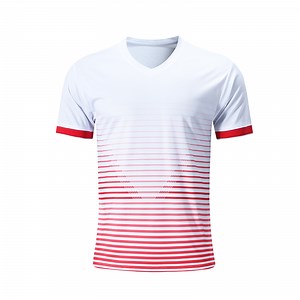 [Hot Item] Customized Embroidery Logo Plain Embossed Tee Blank T Shirt