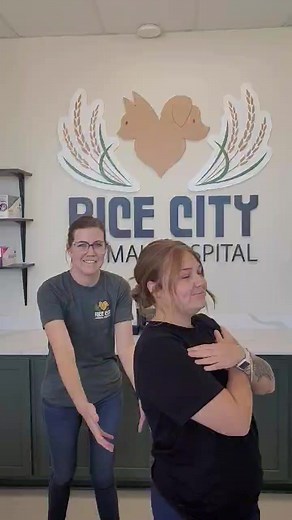 Big news! We’re now offering Bravecto® Quantum— an injection protection that’s powerful, long-lasting, and easy. One dose, 12 MONTHS of flea and tick defense. Ask us about it at your next visit! | Rice City Animal Hospital