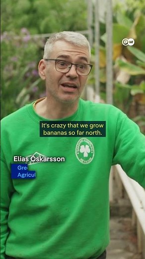 Iceland: Using volcanic energy to grow tropical fruits | DW Documentary