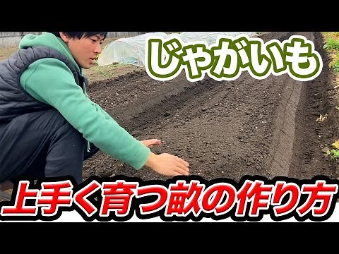 【じゃがいも】上手く効率よく育てる「畝作り」の方法