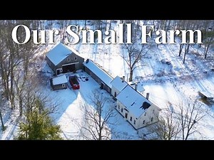 Small Farm in the Peaceful Countryside Vlog, Slow Living Homesteading