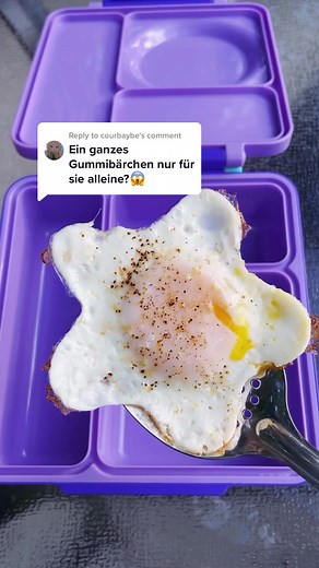 Creative Lunchbox Ideas for Kids | Stormslunches Daily Stories on Insta