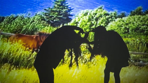 The Enduring Influence of Joan Jonas at MIT and Beyond: Part V