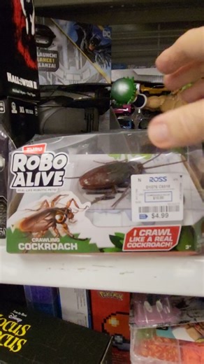 PRANKS & GAGS - ROBOTIC BIG COCKROACH - ANIMATED CRAWLING ROACH - PLAY JOKES ON FAMILY & FRIENDS