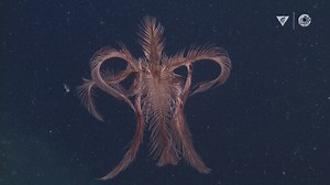 35K views · 1.4K reactions | People always ask us: What are your...