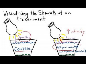 Biological Experimentation