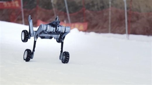 China's high-speed, off-road dog-like robot shows off on tough terrain