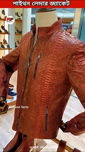 43K views · 418 reactions | Original python leather jackets #python​ #leather​ #jacket​ #snake​ #skin​ #new​ #amazing​ #latest​ #tranding | Ridwan Facts | Facebook