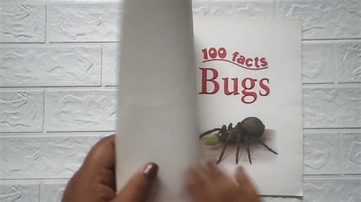 100 bugs facts paperback video