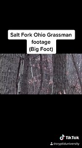 Ohio grass man | Cryptid University