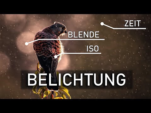 Learning to take photos for beginners, explained super easily | Part 1