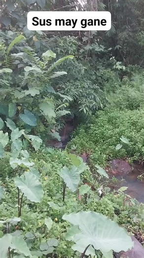 Engaging SOS Challenge Explained