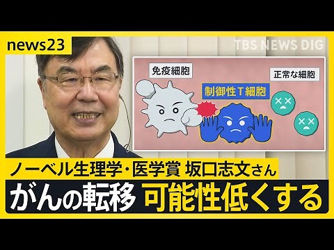 “免疫のブレーキ役発見”でがん治療の未来は… 今年のノーベル生理学・医学賞に坂口志文さんに聞いた【news23】｜TBS NEWS DIG