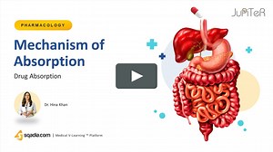 Drug Absorption Mechanism | Pharmacokinetics Lecture of Medical Pharmacology Course
