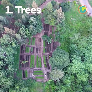 Are you still searching with Google? There is a more eco-friendly alternative: www.Ecosia.org. Give it a try and start planting trees with your searches. | Ecosia