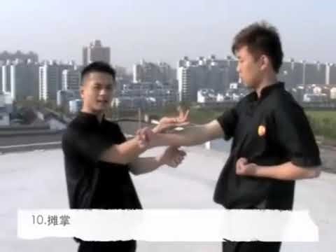 Wing Chun Lessons from Wu Junhui