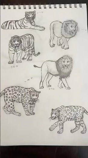 The Big Cat Big 3 🦁 #sketch #drawingstyles #animals #bigcats #art #sketchbook